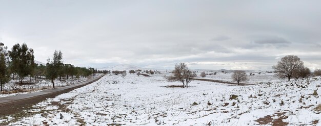 Premium Photo | Road and snow in the golan heights in israel