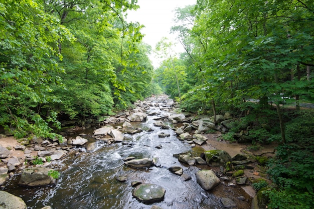 Rock creek park Free Photo