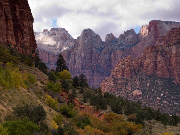 Premium Photo | Rock formations, zion national park, utah, usa