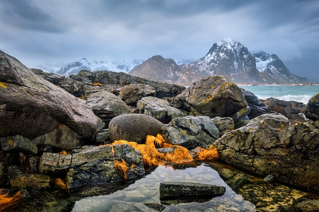 Premium Photo | Rocky coast of fjord in norway