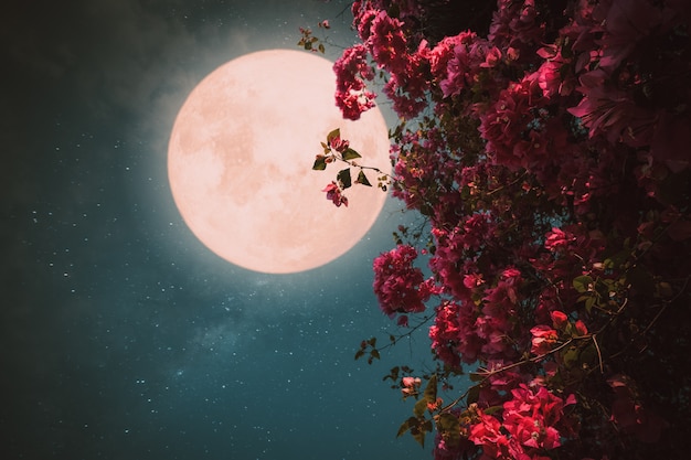 ロマンチックな夜景 満月の夜空に美しいピンクの花の花 ヴィンテージ色のトーンのレトロなスタイルのアートワーク プレミアム写真