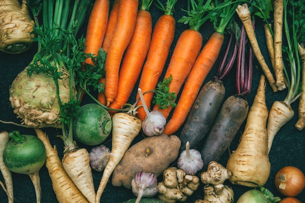 Premium Photo | Root crops, carrots, parsley root, turnip, onion ...