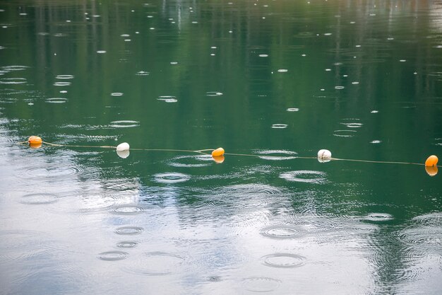 深い湖や海での遊泳を禁止するために 水面に白と黄色の制限マーカーが付いたロープ プレミアム写真