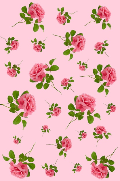 Premium Photo | Rose flower seamless pattern. pink roses with green ...