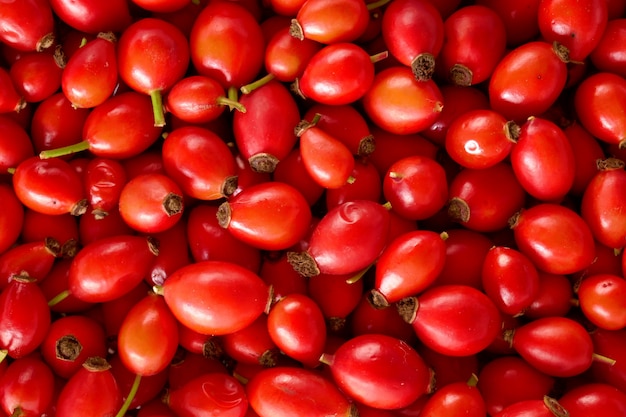 Premium Photo | Rosehip berry close-up