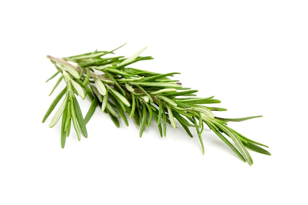 Premium Photo Rosemary Herb Leaves Isolated On White Background 1260