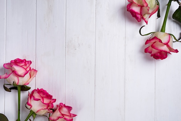 Roses frame on wooden white background | Premium Photo