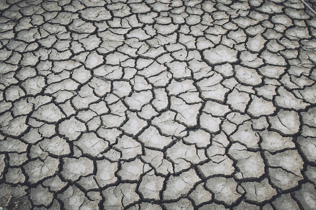 荒れた土地の背景 プレミアム写真