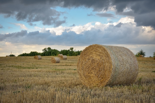 Premium Photo | Round haystack against the sky, harvesting