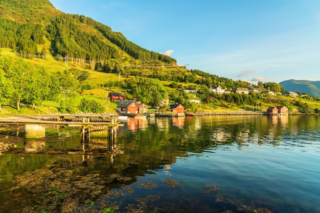 ノルウェーのフィヨルド 緑の風景 ノルウェー ローゼンダル村の田舎の家 プレミアム写真
