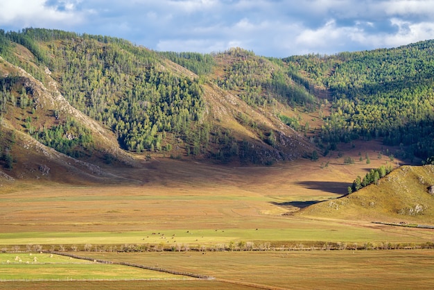 Горный пейзаж осетия фото