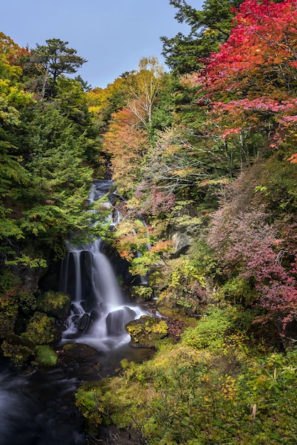 Premium Photo | Ryuzu waterfall autumn forest nikko japan