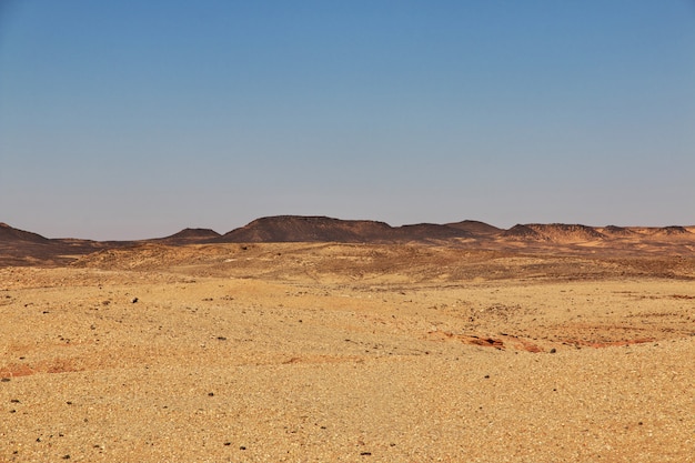 Premium Photo | Sahara desert in sudan, africa