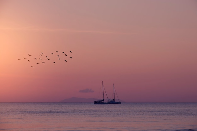 sailboat summer