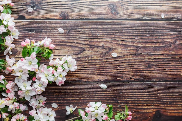 Premium Photo | Sakura blooming on dark rustic wood