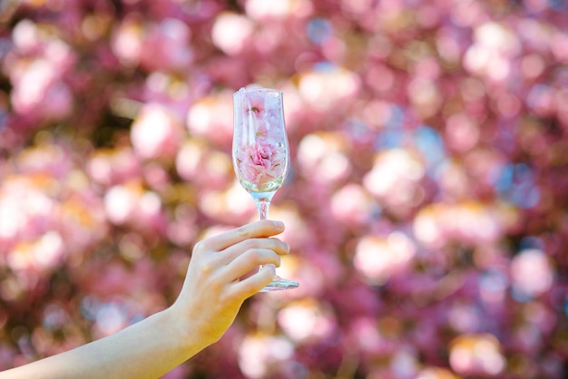 さくらはグラスに花を咲かせます ピンクの桜咲く木 春の花 さくらのピンクの花びらとグラスを持っている女性 ライフスタイル ファッション 春のコンセプト プレミアム写真