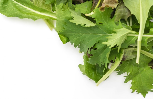 Free Photo | Salad mix with rucola, frisee, radicchio and lamb's lettuce