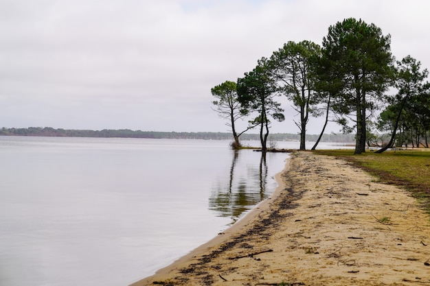 Premium Photo | Sand beach lake in sanguinet village in landes france