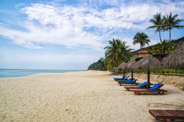 Premium Photo | Sand tropic palms and sunbeds. best kuantan beach ...