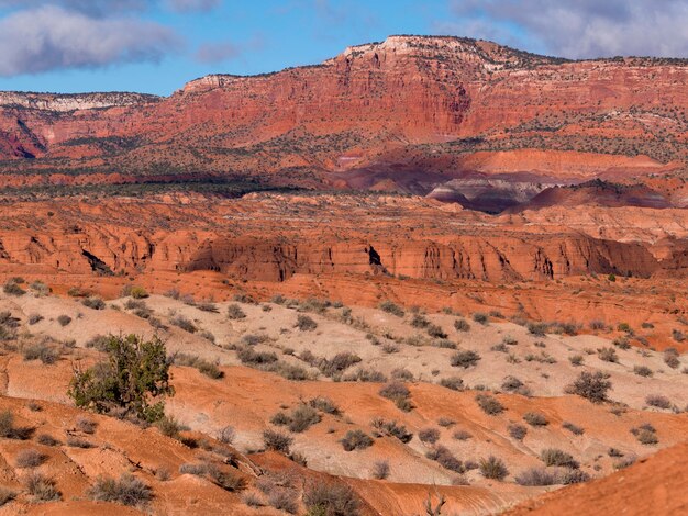 Premium Photo | Sandstone cliffs, paria canyon, paria, kane county ...