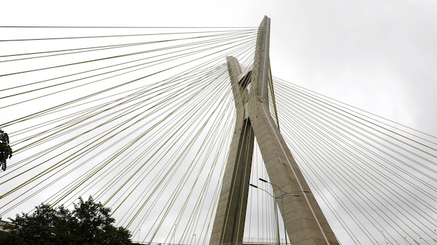 ブラジルのサンパウロ市のランドマークestaiada橋 プレミアム写真