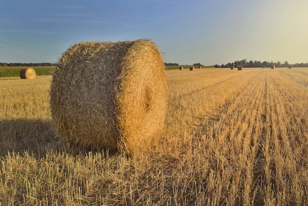 Premium Photo | Scenic rural landscape with a haybale in a field at sunset