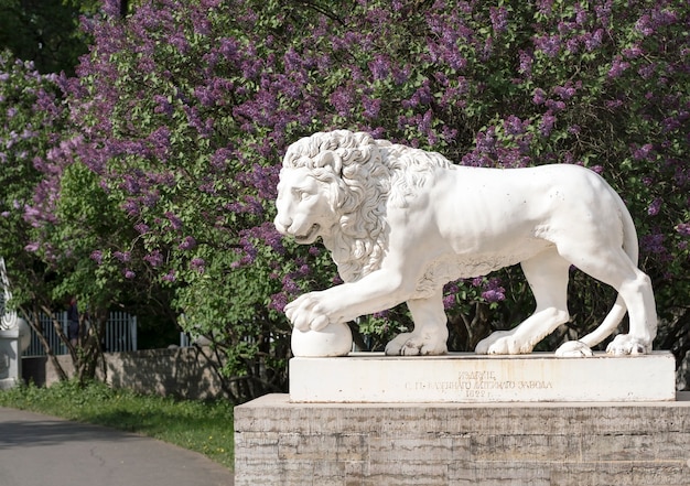 Premium | Sculpture of a lion a ball paw on the background lilac . elagin island. saint-petersburg