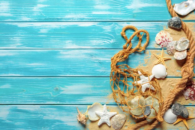 Premium Photo | Sea rope with many different sea shells on the sea sand ...