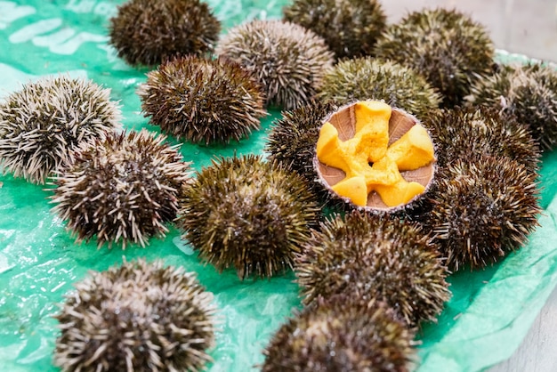 Premium Photo | Sea urchin (fresh uni) japanese fresh raw food in the ...