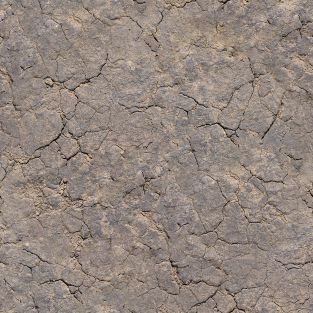 Premium Photo | Seamless texture - dry cracked clay soil