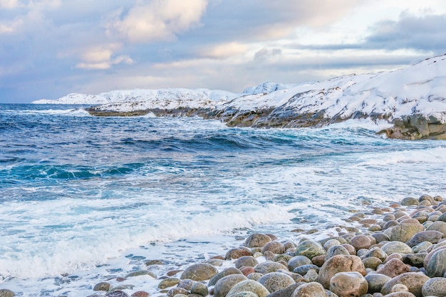 Premium Photo | Seascape of the arctic ocean in winter