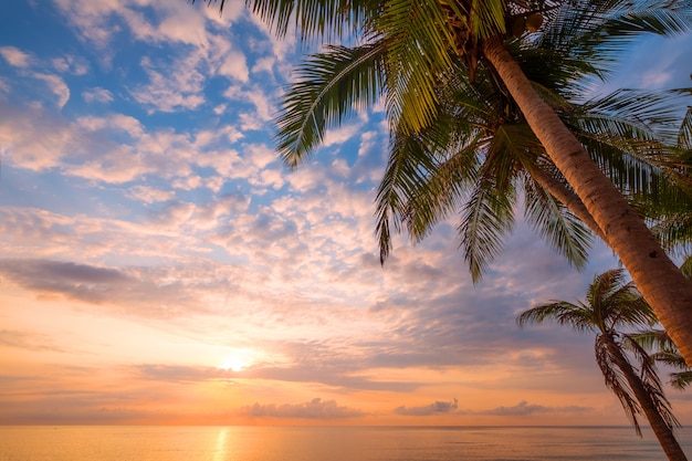 日の出のヤシの木と美しい熱帯のビーチの海の絵 夏のバックグラウンドで海ビュービーチ プレミアム写真