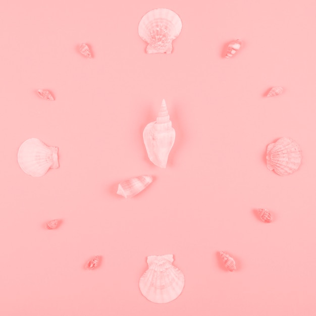 ピンクの背景に貝殻の装飾 無料の写真