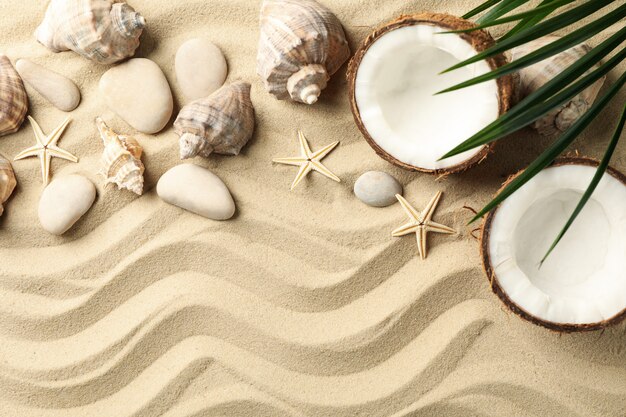 貝殻 石 ヒトデ ココナッツ ヤシの枝 海砂 テキスト用のスペース プレミアム写真