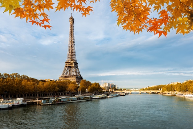 Fall Season In Paris