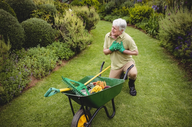 Premium Photo | Senior man suffering from pain while gardening