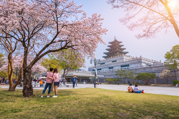 ソウル 16年4月10日 韓国の春の旅行で桜の景福宮 16年4月10日 ソウル 韓国 プレミアム写真