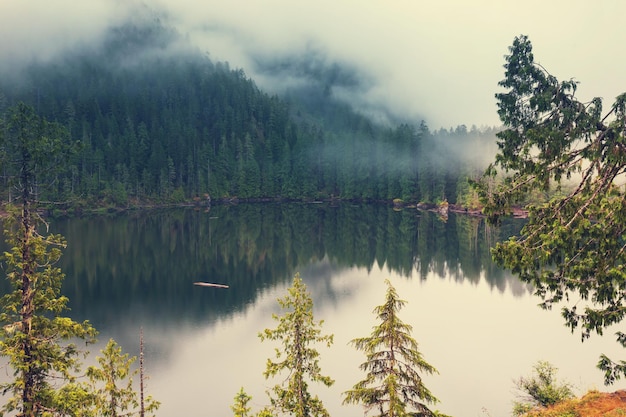 Premium Photo | Serenity lake in the mountains