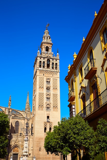 Premium Photo | Seville cathedral giralda tower sevilla spain