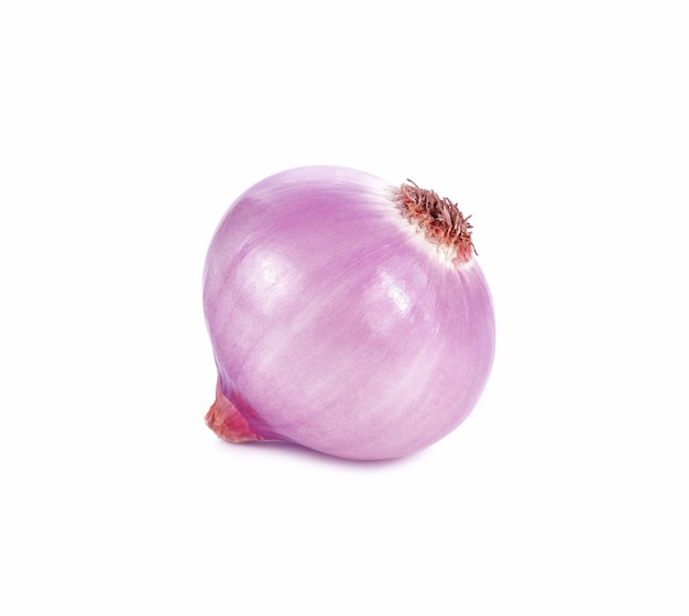 Premium Photo | Shallot red isolated on white