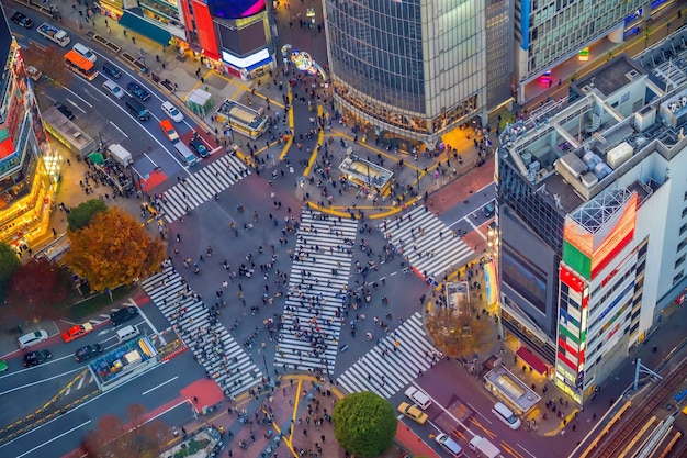 Premium Photo Shibuya Crossing From Top View At Night In Tokyo Japan