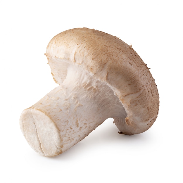 Premium Photo | Shiitake mushrooms isolated on the white background