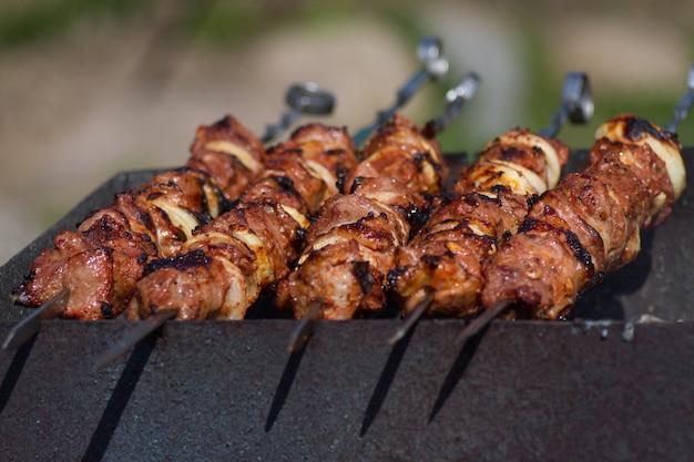 Premium Photo | Shish kebab on the grill