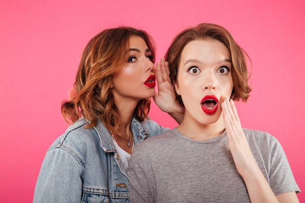 Free Photo Shocked Two Women Friends Gossiping