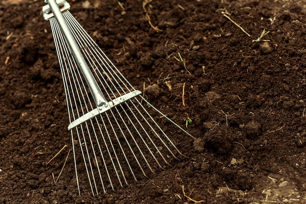 Premium Photo | Shot of digging at allotment. close-up, concept of ...