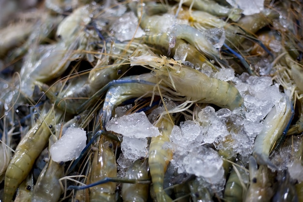 Shrimp market | Premium Photo