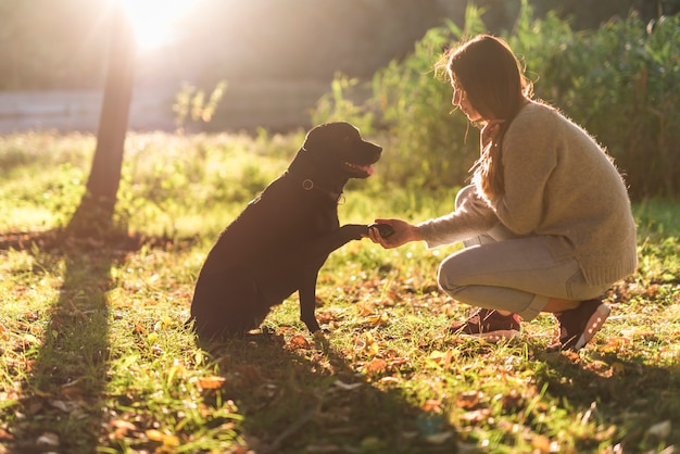 犬と女性の手が公園で揺れの側面図 無料の写真