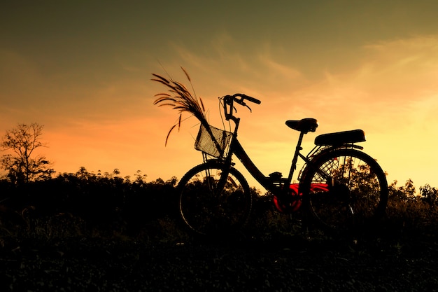 bluesky bike parts