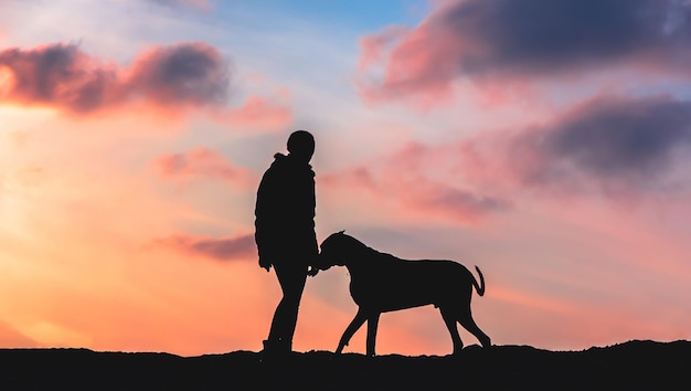 Premium Photo | Silhouette of a girl with a big dog at sunset