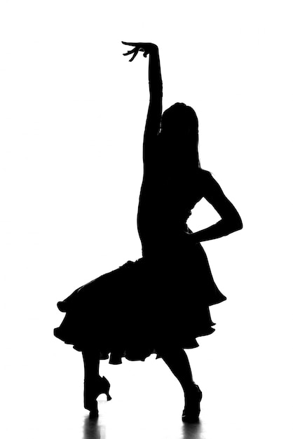 Premium Photo | Silhouette of latin female dancer in action.